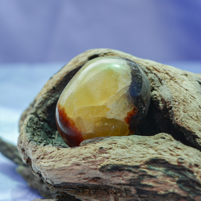 cutia cu piatra dragonului [4]