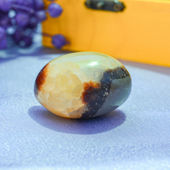 cutia cu piatra dragonului [8]