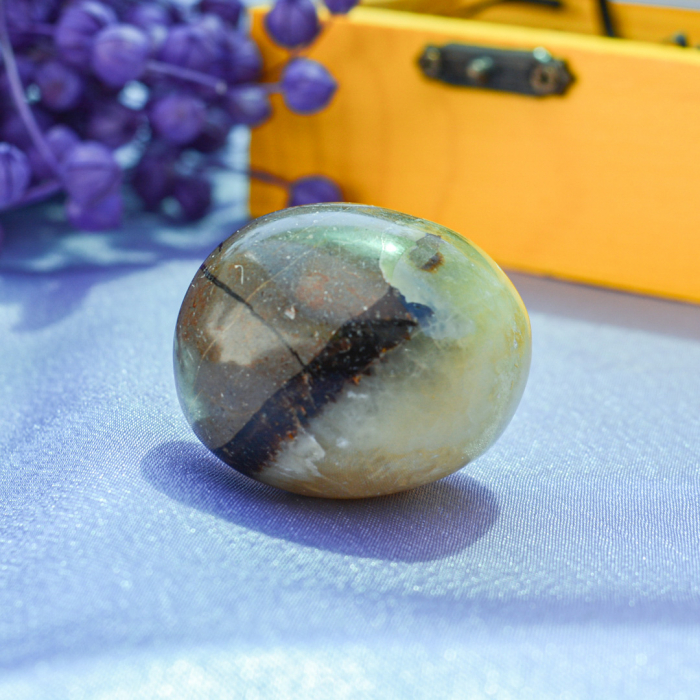 cutia cu piatra dragonului [9]