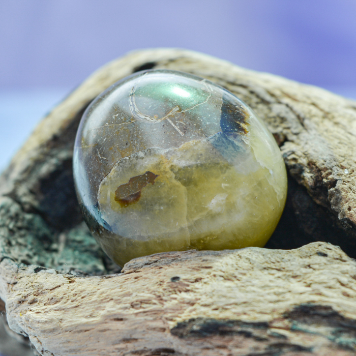 cutia cu piatra dragonului [5]