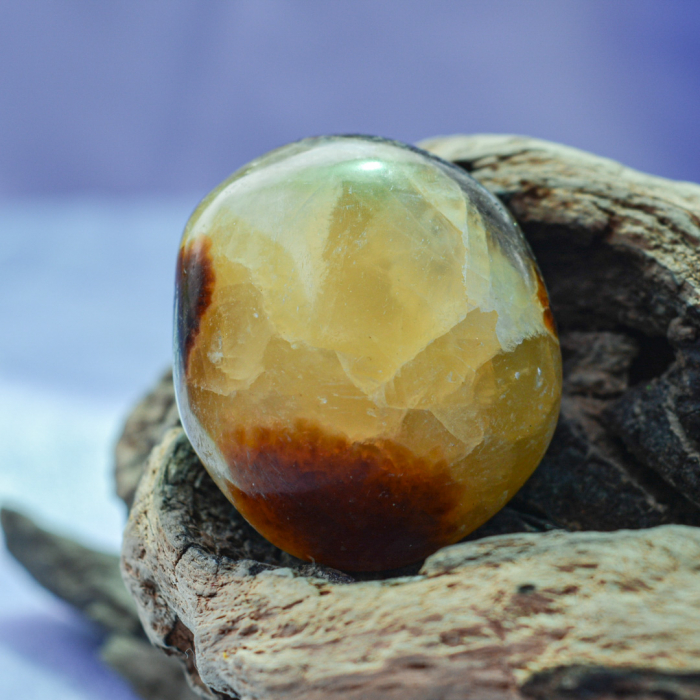 cutia cu piatra dragonului [6]