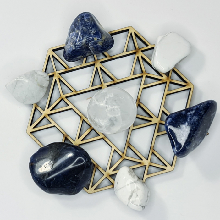 Grid pentru comunicare [1]