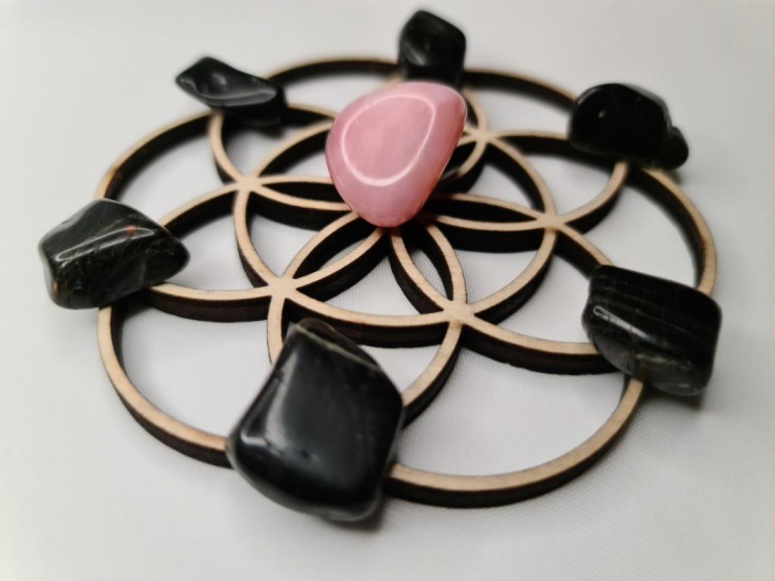 Grid pentru lucrul cu autosabotarea [1]