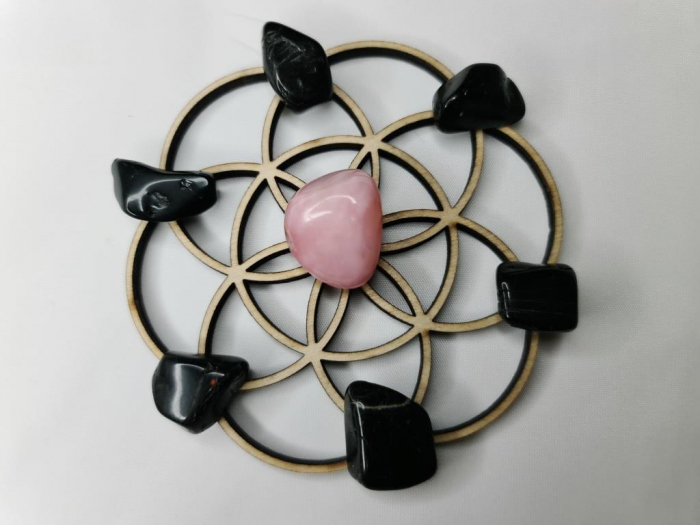 Grid pentru lucrul cu autosabotarea [2]