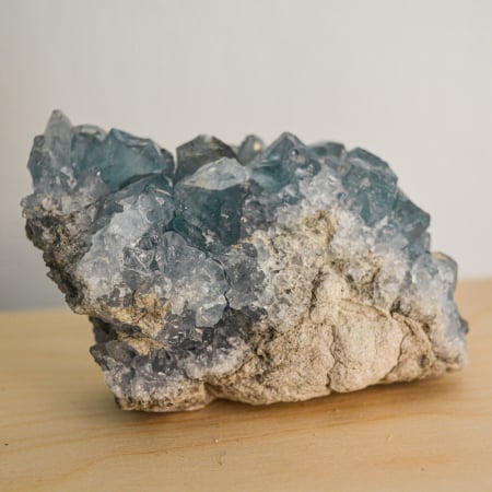 succes la birou [10]