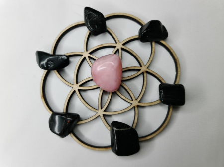 Grid pentru lucrul cu autosabotarea [1]