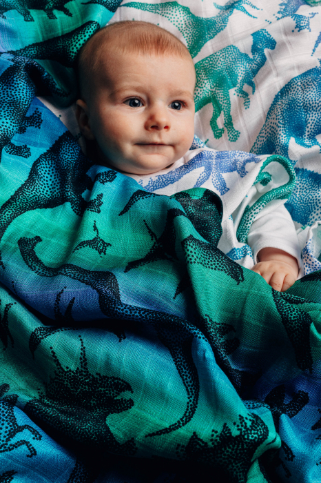 Pled mare/ Swaddle blanket JURASSIC PARK LennyLamb- 120x120 cm [2]