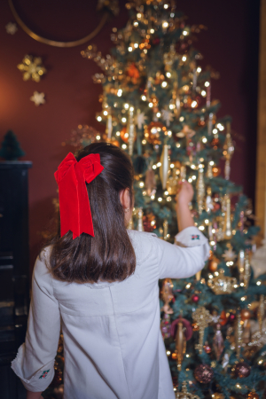 Colectia de Craciun - Rochie din catifea cu dantela penttu femei- Christine