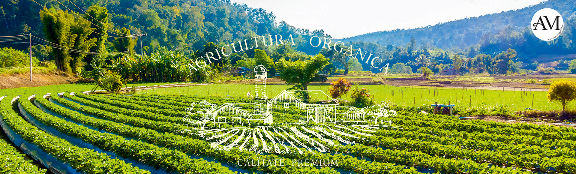 Descarcă aplicația culturi agricole din Google Play