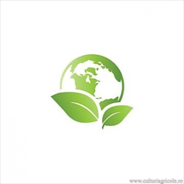 Dezinfectant sol insecto-fungicid TERRA CLEAN [2]