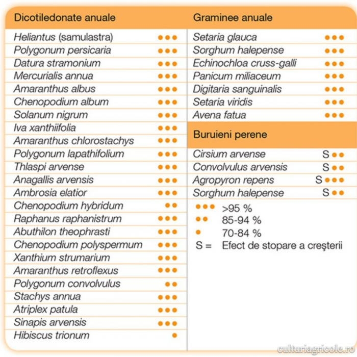Erbicid cu acțiune reziduală postemergent PULSAR 40 [3]