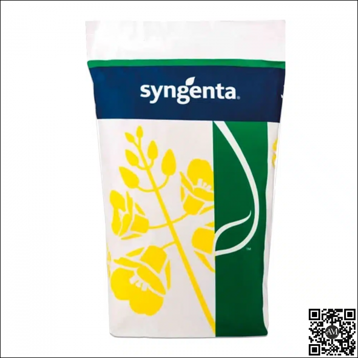 Semințe rapiță semi-timpuriu SY FLORETTA SCENIC GOLD [1]