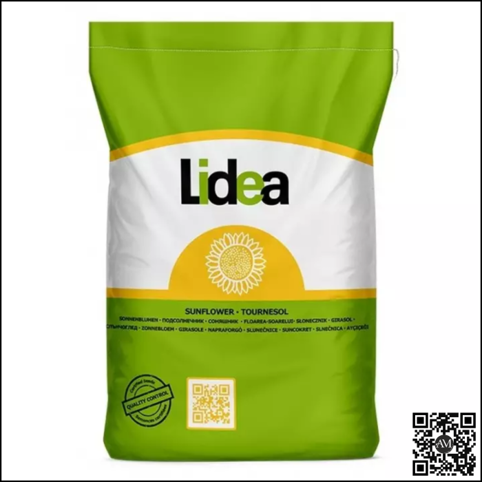 Semințe floarea high oleic semi-timpuriu soarelui LID 1046H SU tehnologie EXPRESS [1]