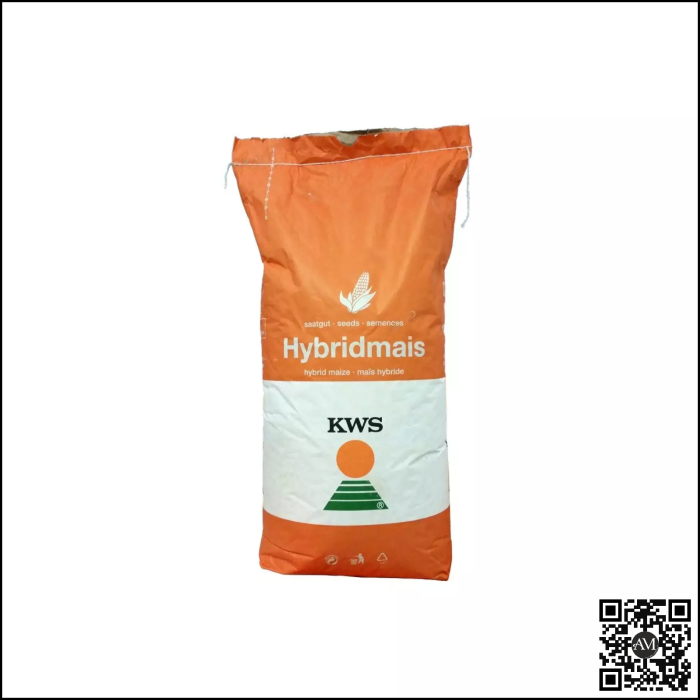 Semințe porumb KWS OLTENIO INITIO grupa FAO 360 [1]