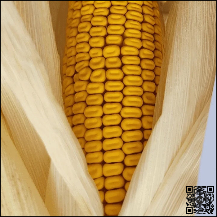 Semințe porumb MULTIPEL grupa FAO 380 [4]