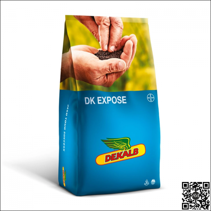Semințe rapiță semi-tardiv DK EXPOSE SCENIC GOLD [1]