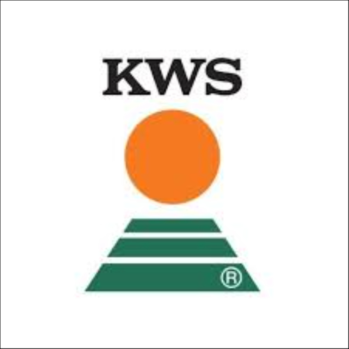 Semințe soia semi-timpuriu KWS SVELTE [1]