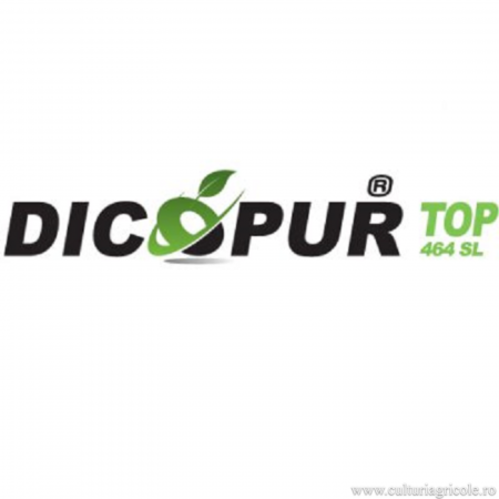 GRÂU - Erbicid cu acțiune sistemică postemergent DICOPUR TOP 464 SL