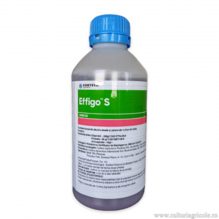 PRODUSE PENTRU PROTECȚIA PLANTELOR - Erbicid cu acțiune de contact și sistemică preemergent și postemergent EFFIGO S