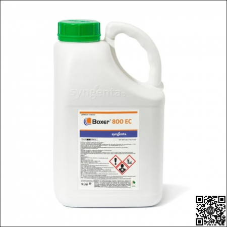 CEAPĂ - Erbicid preemergent BOXER 800 EC