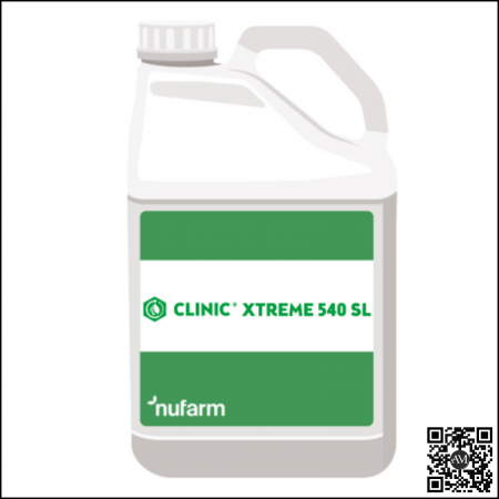 VIȘIN - Erbicid total cu acțiune sistemică CLINIC XTREME 540 SL