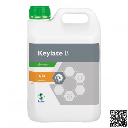 Fertilizanți foliari - Fertilizant foliar KEYLATE B