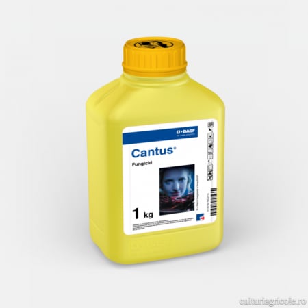 RAPIȚĂ - Fungicid cu acțiune translaminară CANTUS
