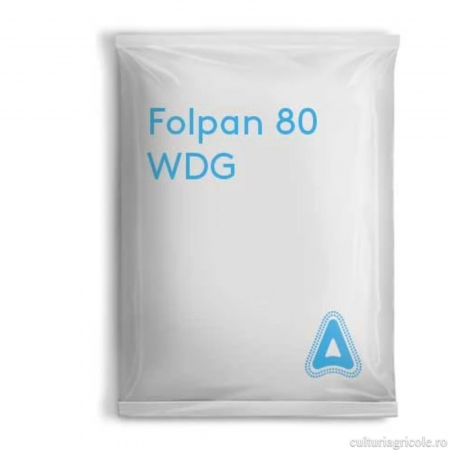 STRUGURI DE MASĂ - Fungicid cu acțiune de contact FOLPAN 80 WDG