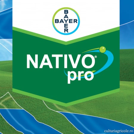 GRÂU DE TOAMNĂ - Fungicid cu acțiune sistemică NATIVO PRO 325 SC