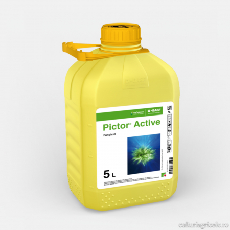 MUȘTAR - Fungicid cu acțiune sistemică PICTOR ACTIVE