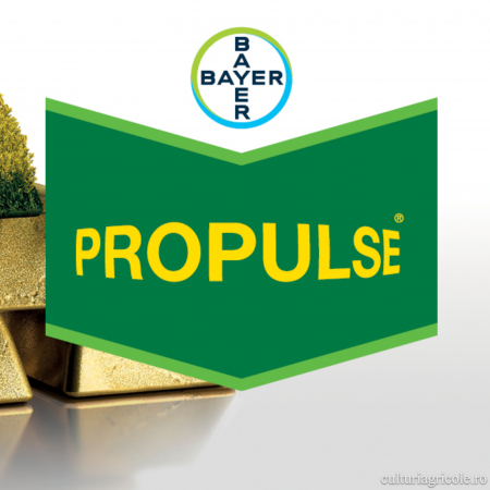 PRODUSE PENTRU PROTECȚIA PLANTELOR - Fungicid cu acțiune sistemică sistemic PROPULSE 250 SE