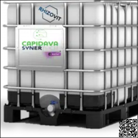 ÎNGRĂȘĂMINTE CHIMICE - Îngrășământ chimic lichid starter SYNERTECH CAPIDAVA