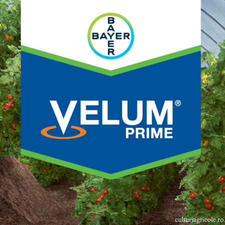 Fungicide - Nematocid și fungicid cu acțiune sistemică VELUM PRIME 400 SC