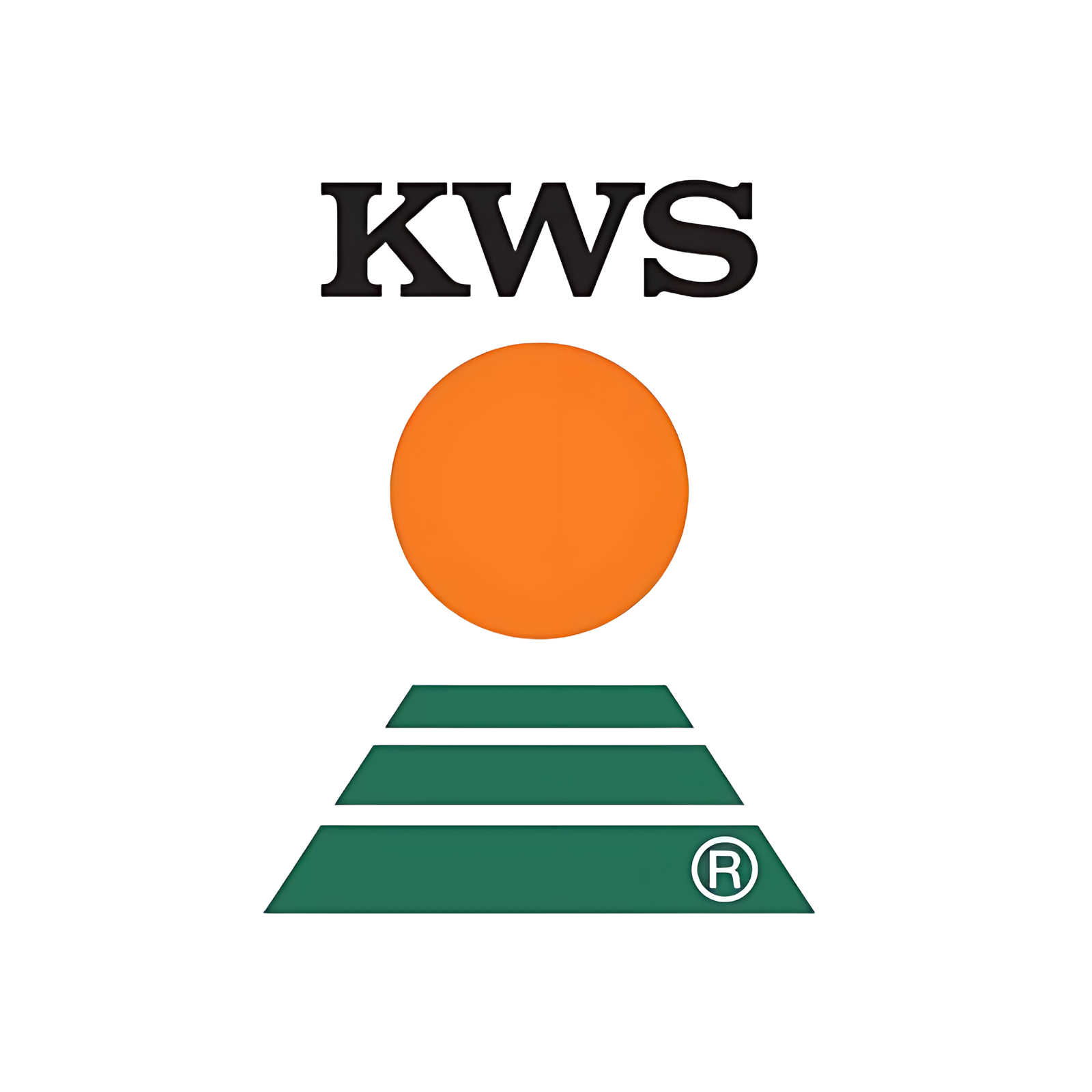 Semințe - KWS LUXURY - Semințe lucernă