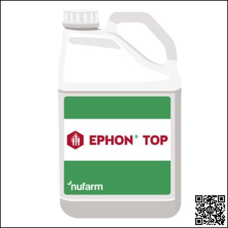 Fertilizanți foliari - Regulator de creștere EPHON TOP