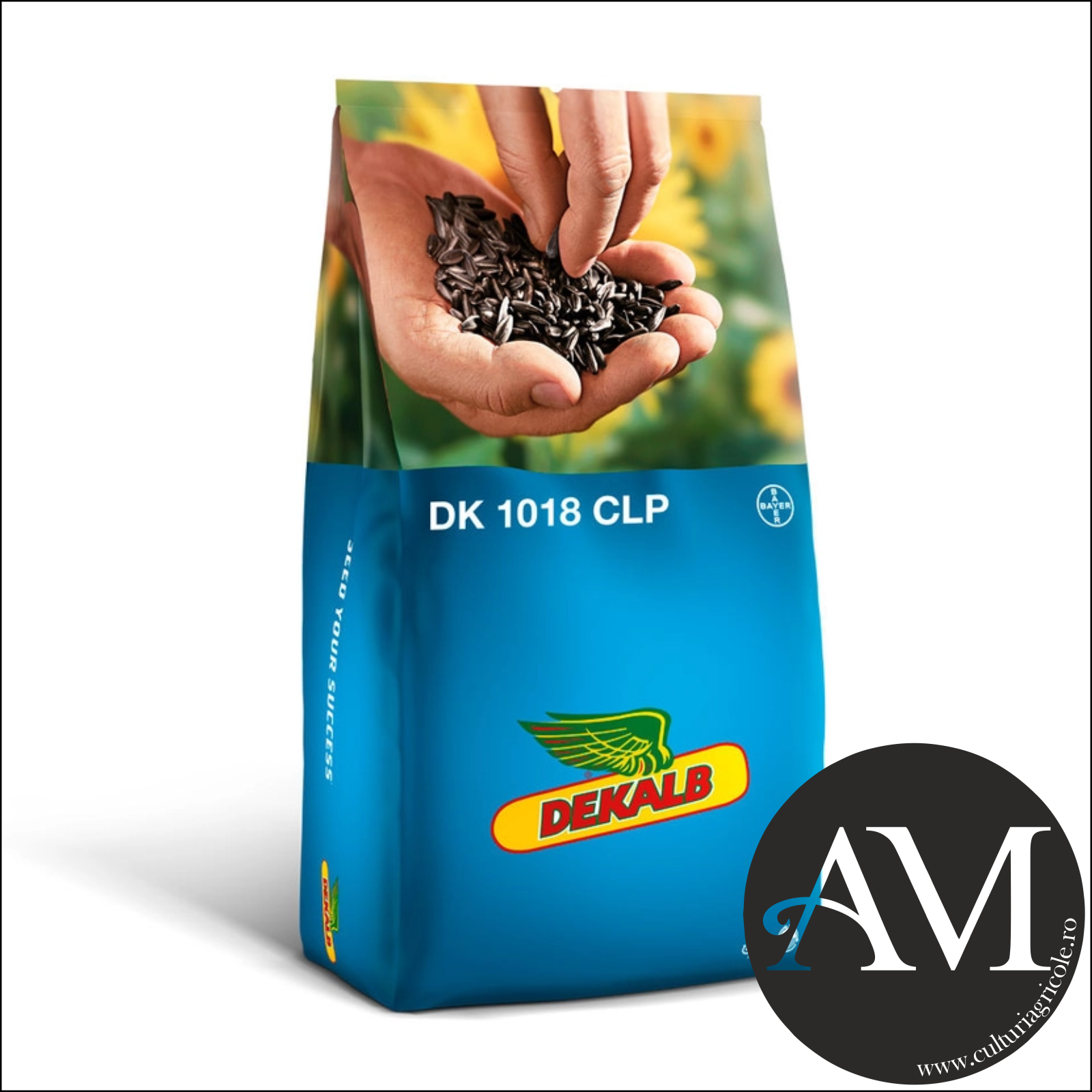 Semințe - Semințe floarea soarelui semi-timpuriu netratat DK 1018 CLP