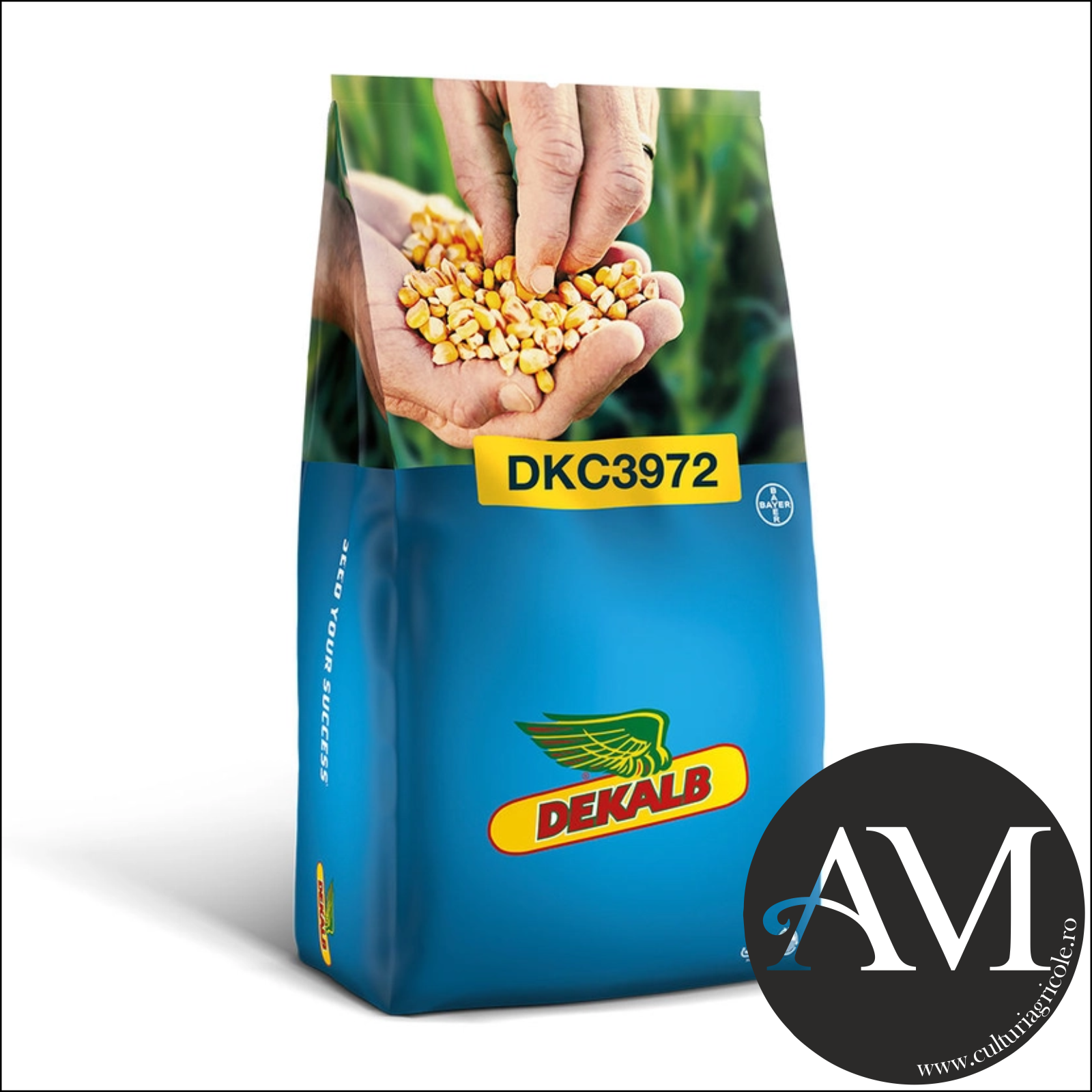 Semințe - Semințe porumb extra-timpuriu DKC3972 grupa FAO 250-290