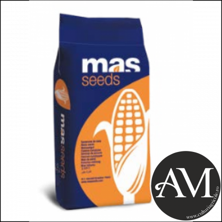 Porumb - Semințe porumb MAS 250.F grupa FAO 280
