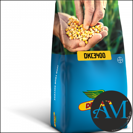 SEMINȚE - Semințe porumb DKC3400 grupa FAO 200 - 240