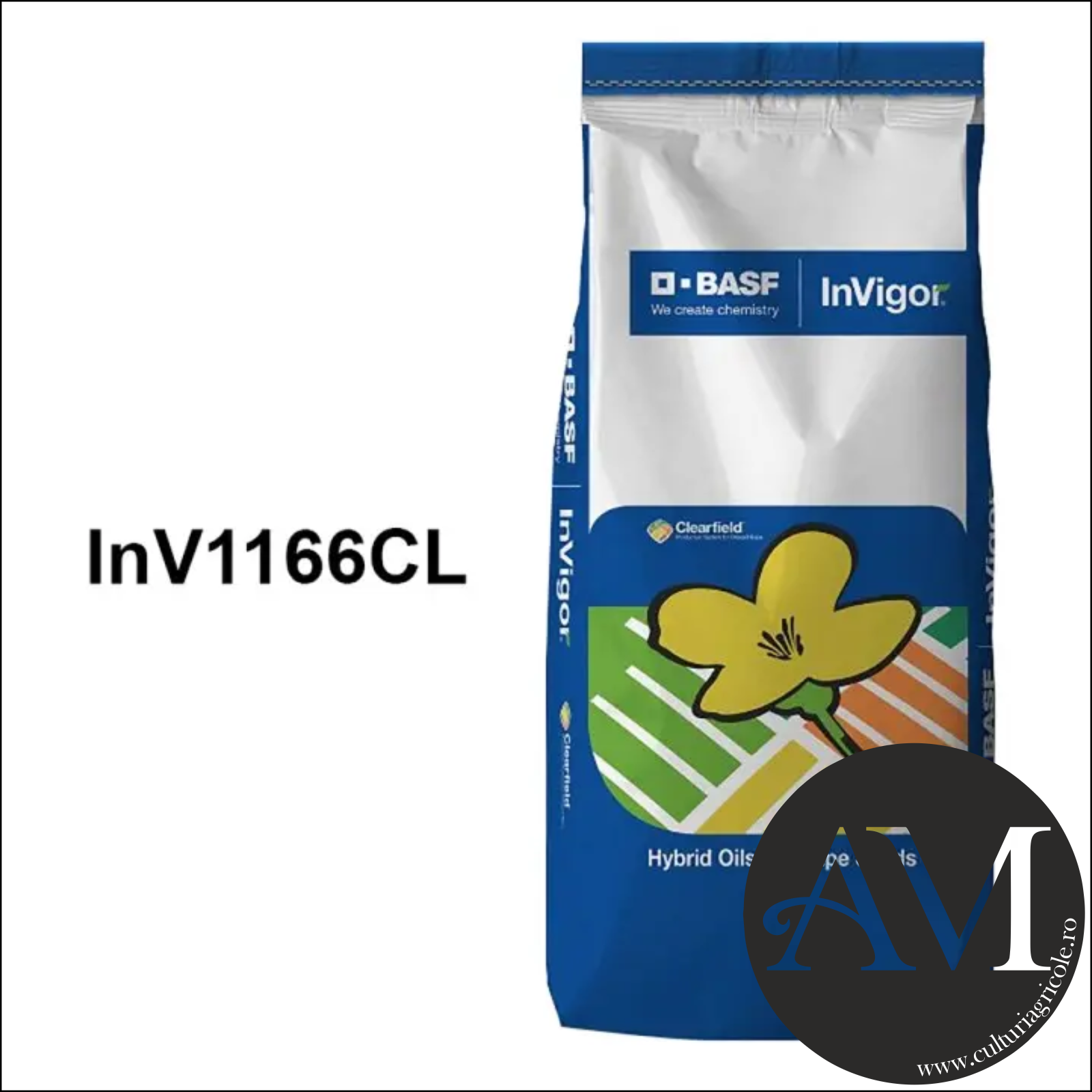 Rapiță - Semințe rapiță semi-tardiv InV1166CL INTEGRAL PRO tehnologie Clearfield