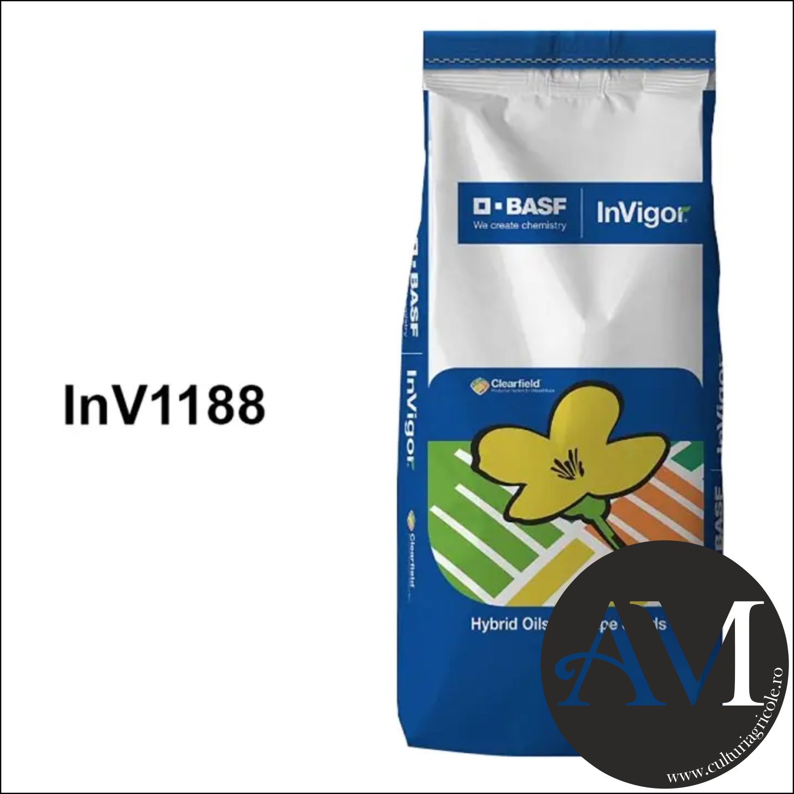 Rapiță - Semințe rapiță semi-timpuriu InV1188 INTEGRAL PRO