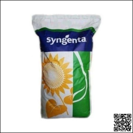 Floarea soarelui - Semințe floarea soarelui high oleic semi-timpuriu SY CAPRICIO AR HO tehnologie A.I.R.