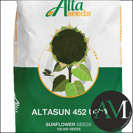 Floarea soarelui - Semințe floarea soarelui convențional semi-tardiv ALTASUN UHO 452