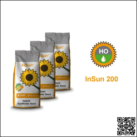 Semințe - Semințe floarea soarelui semi-tardiv InSun 200 HO CLP tehnologie CLEARFIELD PLUS