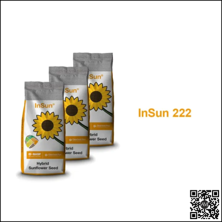 Semințe - Semințe floarea soarelui semi-tardiv InSun 222 CLP tehnologie CLEARFIELD PLUS