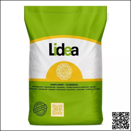 CULTURI - Semințe floarea soarelui semi-tardiv LID 1061L CLP tehnologie CLEARFIELD PLUS