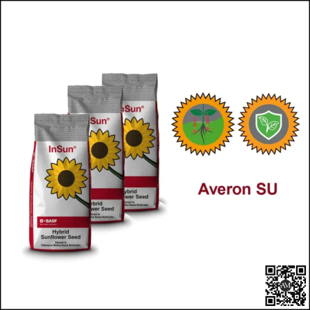 Semințe - Semințe floarea soarelui semi-timpuriu AVERON SU tehnologie EXPRESS