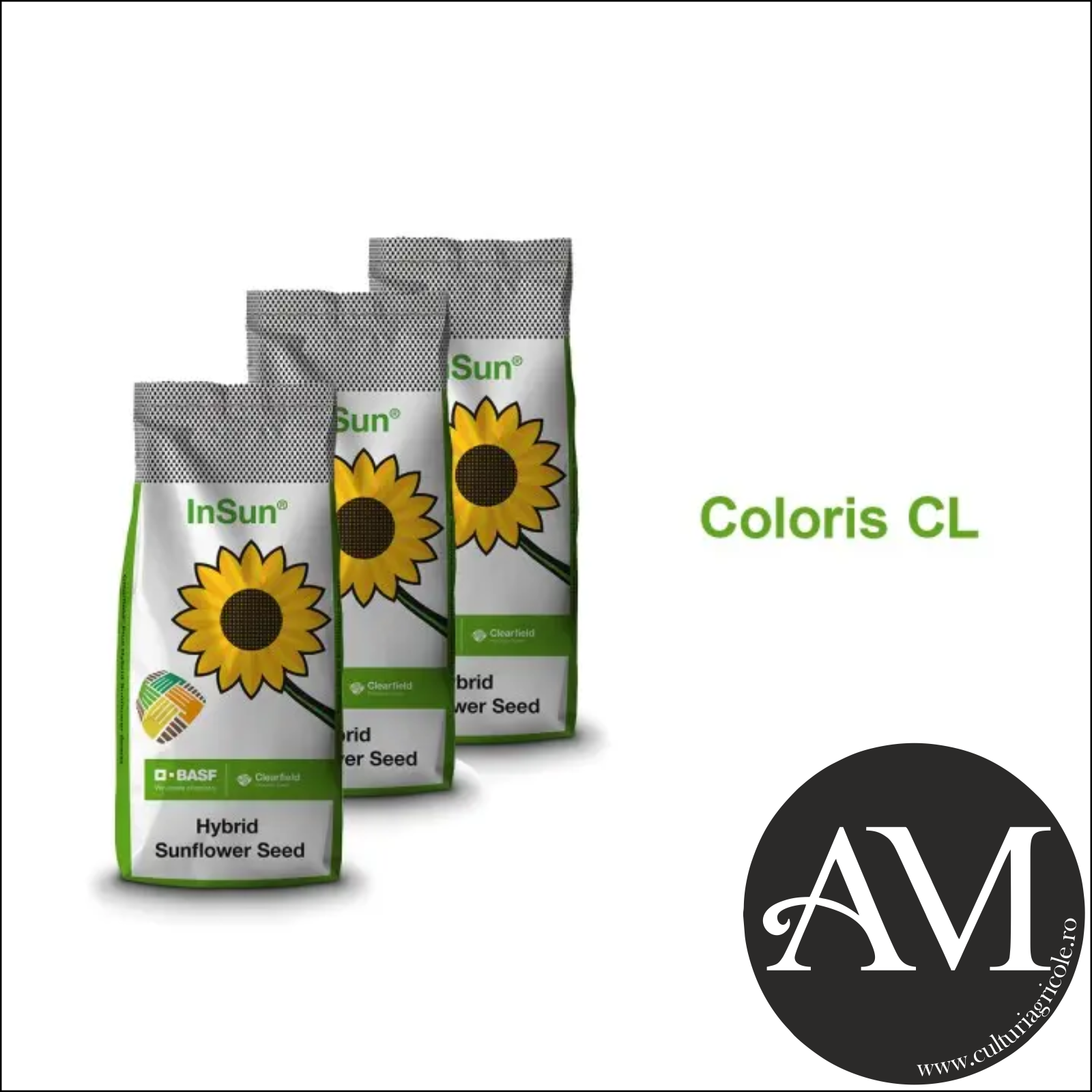 Semințe - Semințe floarea soarelui semi-timpuriu COLORIS CL tehnologie CLEARFIELD