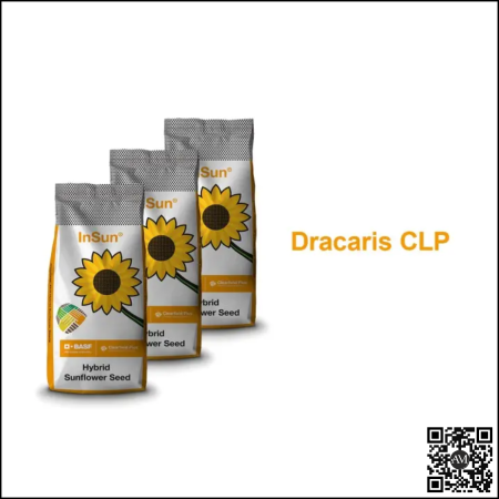 Semințe - Semințe floarea soarelui semi-timpuriu DRACARIS CLP tehnologie CLEARFIELD PLUS