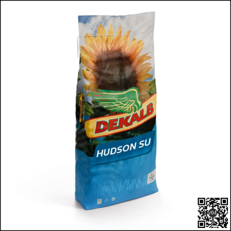 CULTURI ECOLOGICE - Semințe floarea soarelui timpuriu netratat HUDSON SU